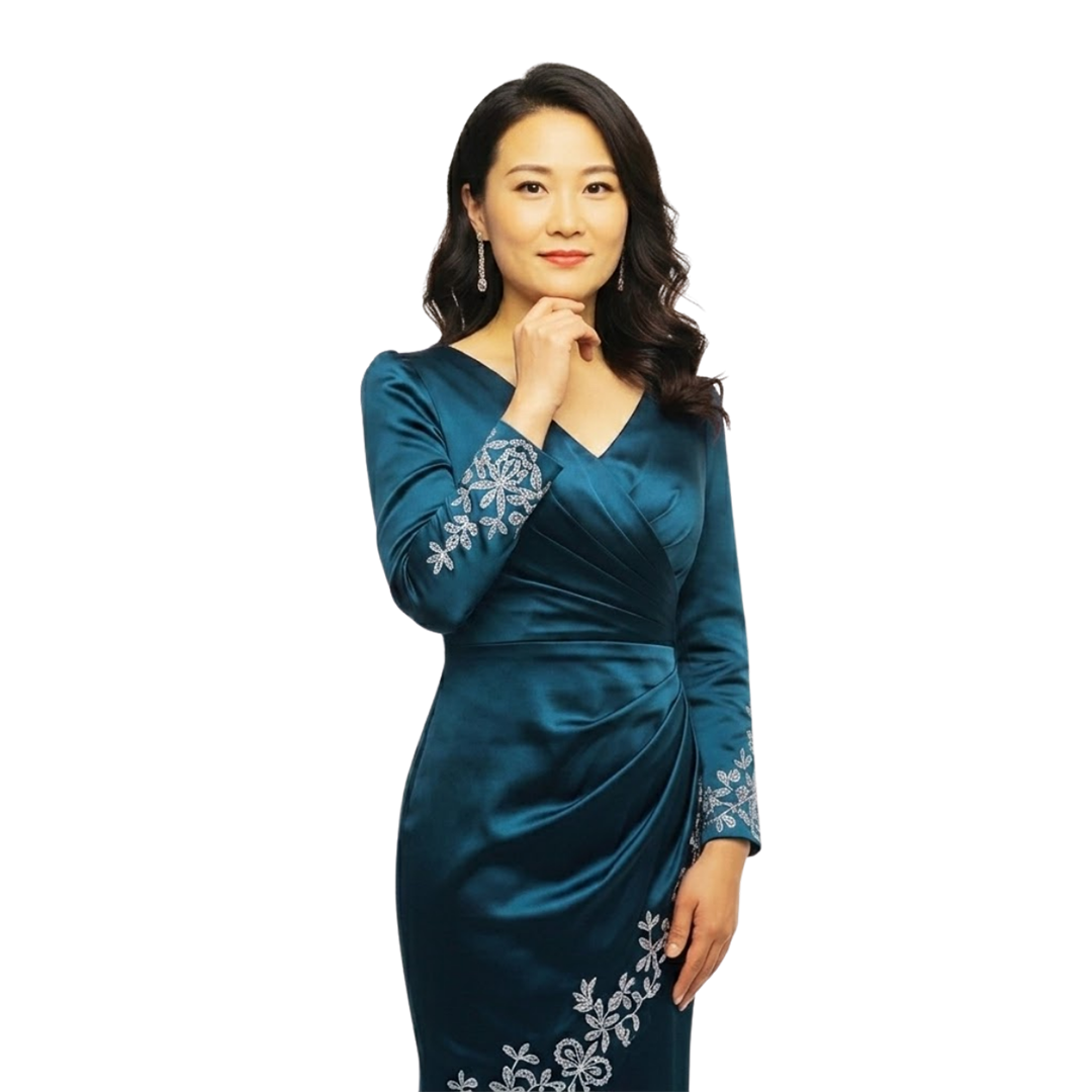 Rovellanix Embroidered Dress Image